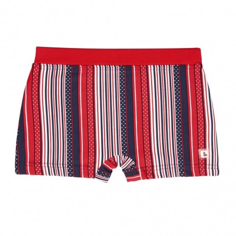 Boxer rayas niño de Condor