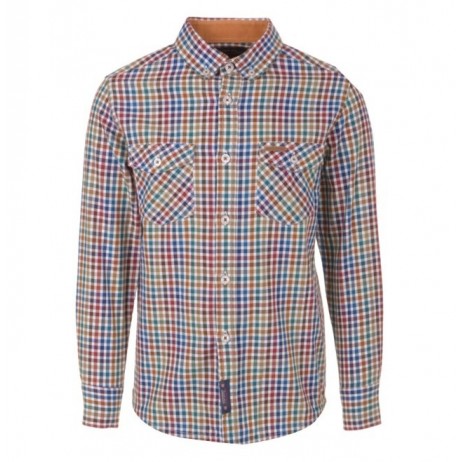 CAMISA NIÑO(lion06)